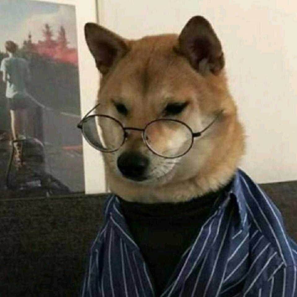 贾贾贾