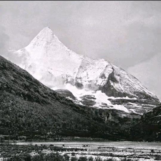 遇尚便利店相信光会出现（梓拓）