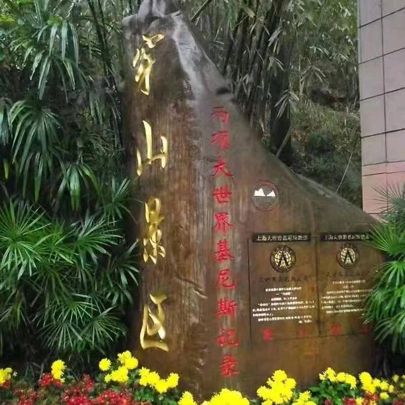 梦之蓝