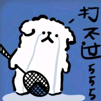 羽夜菜财