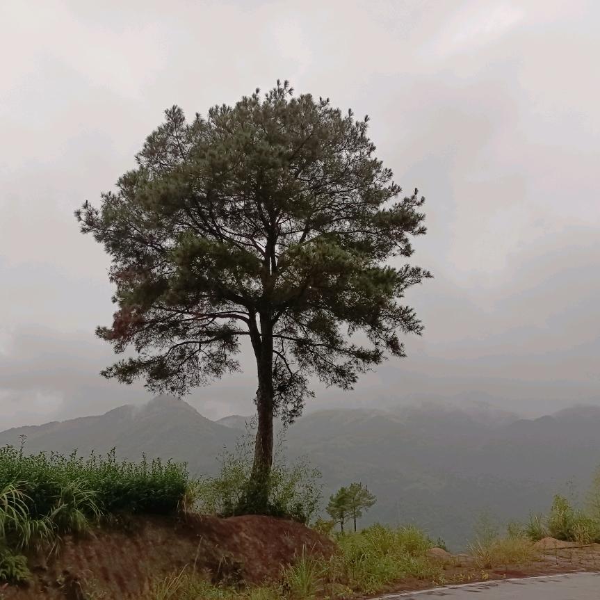 天上人间