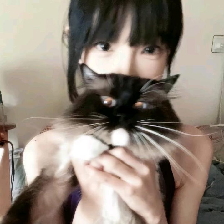 好饭拼到厌倦
