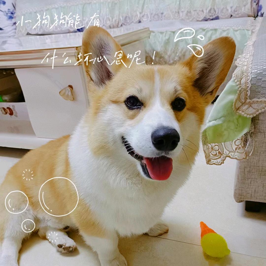 CF杰克 通行证