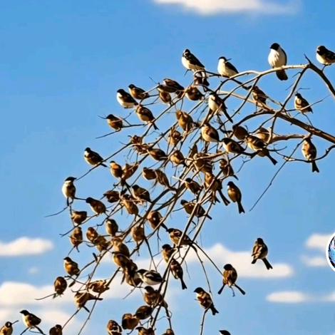 金成家园东南门超市