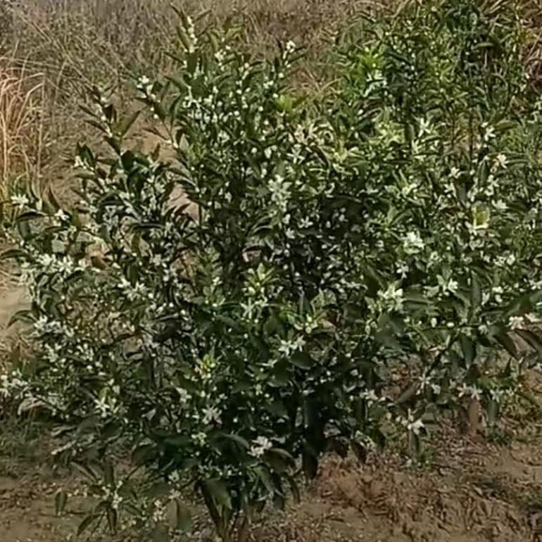 余生爱自己$