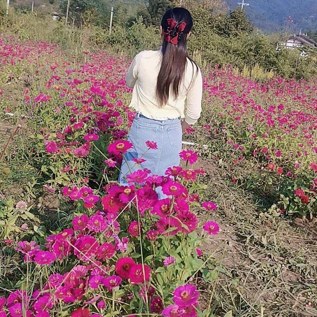 ୧⍤⃝🌺张丫头