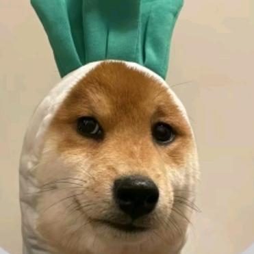 起不来