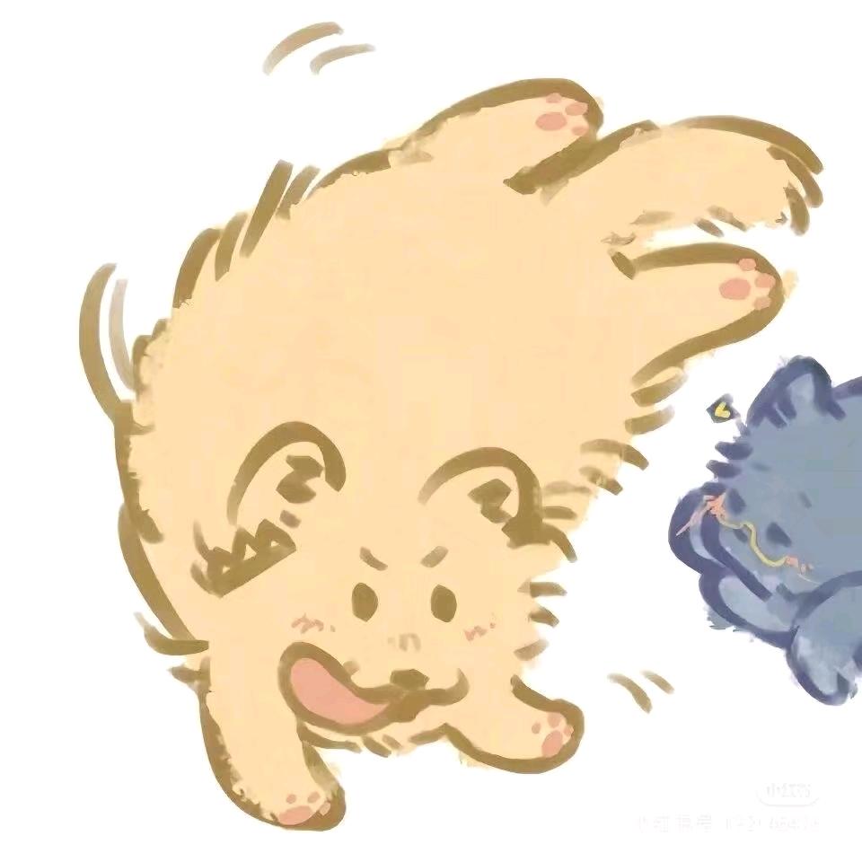 满天飞的鸢雨情