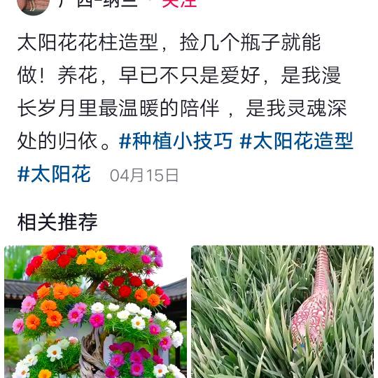 爱生活爱自拍