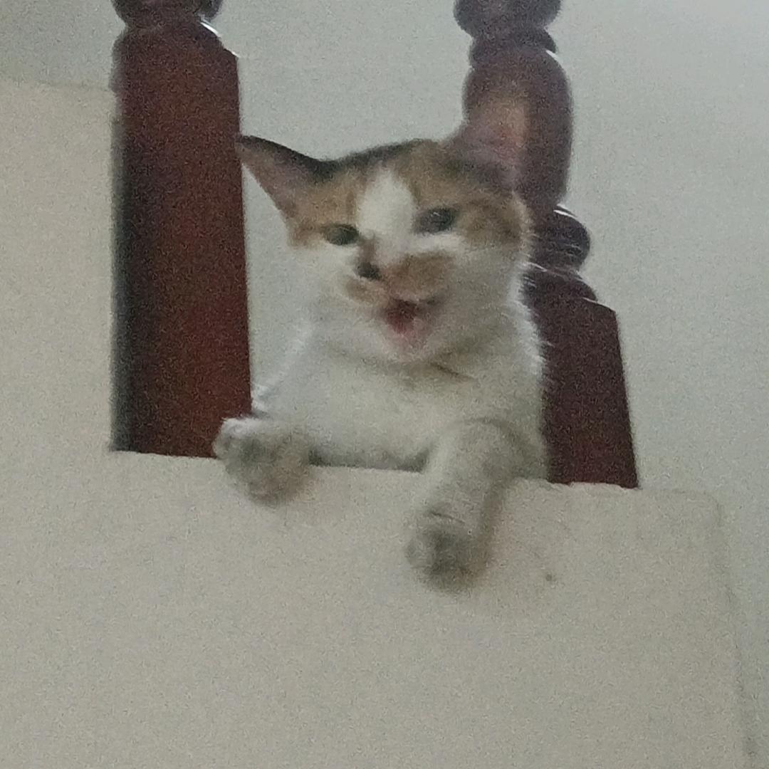 陌路染红尘