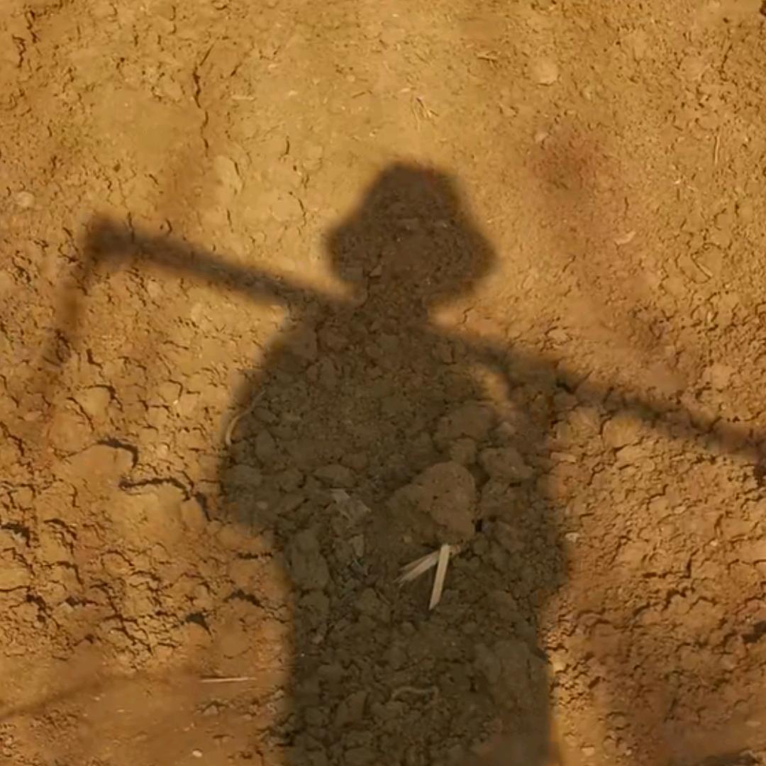 吹牛大王的朋友圈🌽