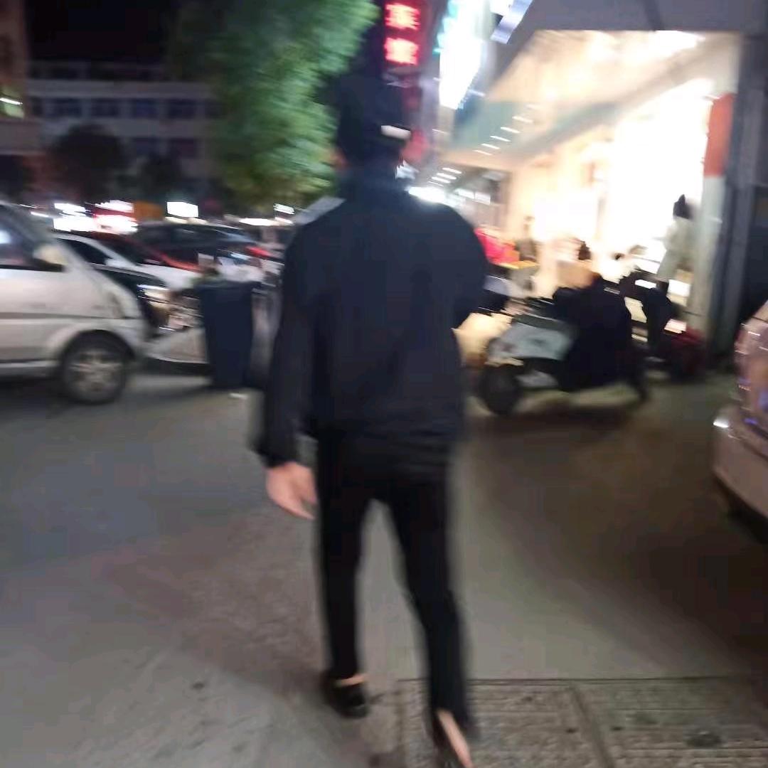 上岸的鱼