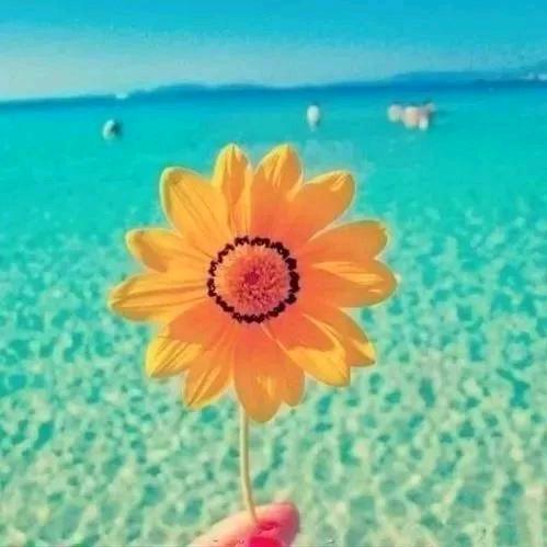 小铃铛🌻🌻🌻