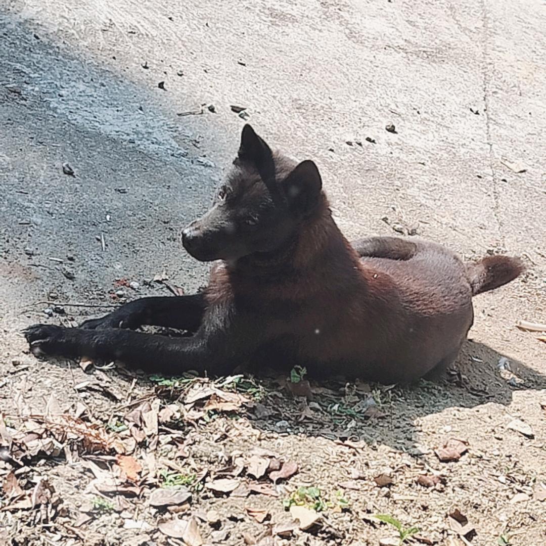 💕ಇ废财᭄: 💞