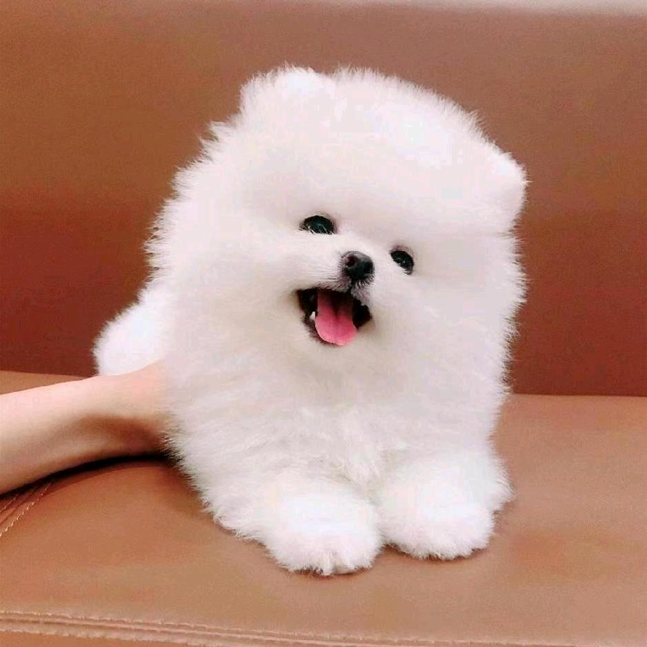 🌺开心😁