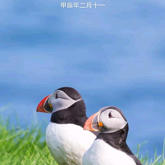 温柔一刀！！