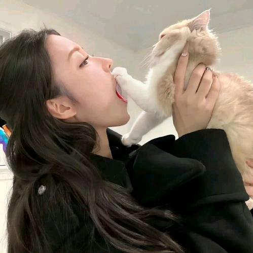 猫咪尾巴