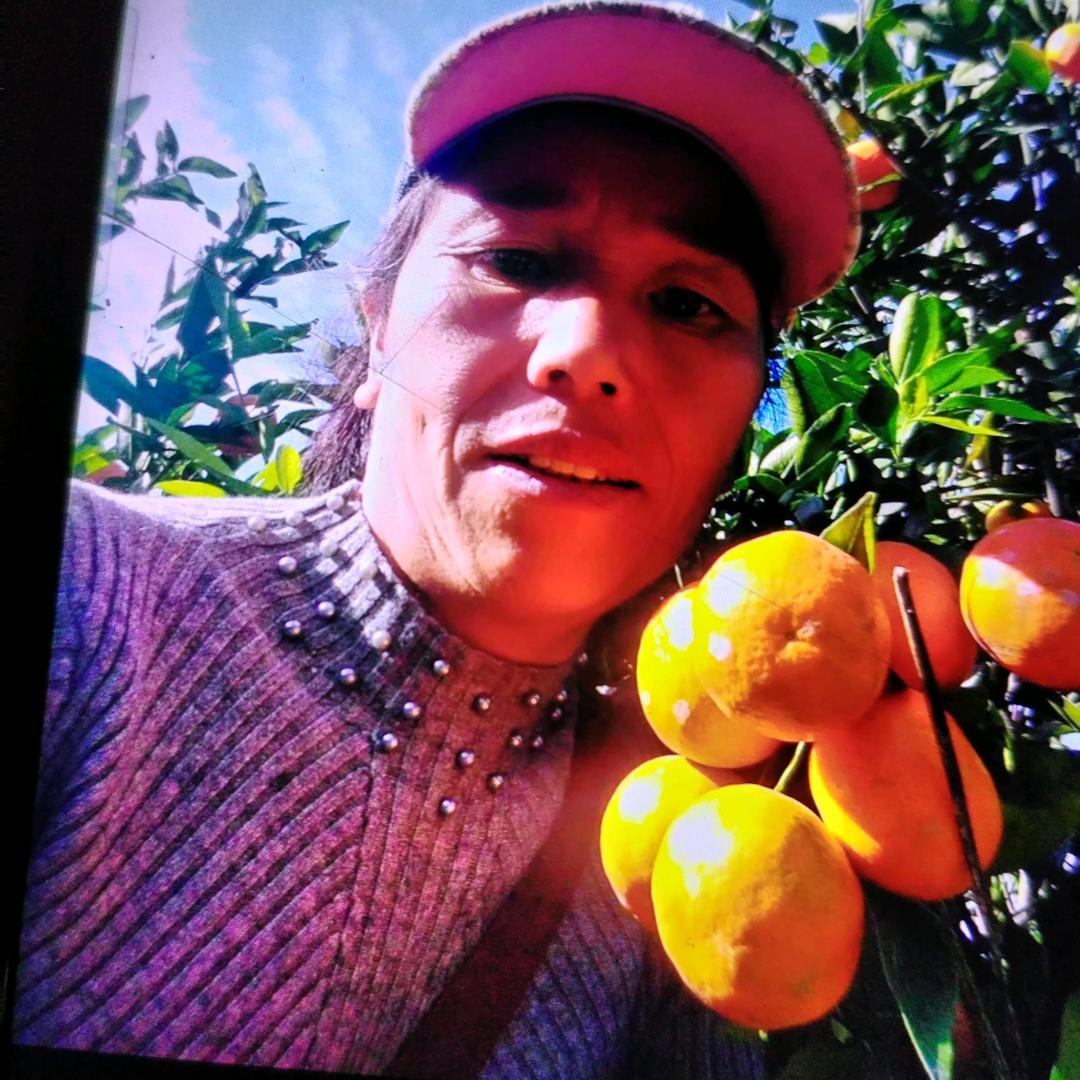 福利唐姐姐妹採果队