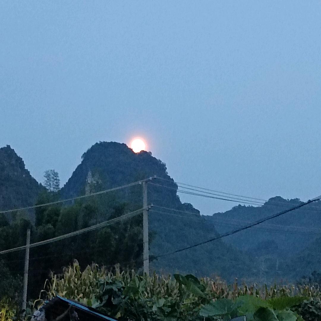黄公子