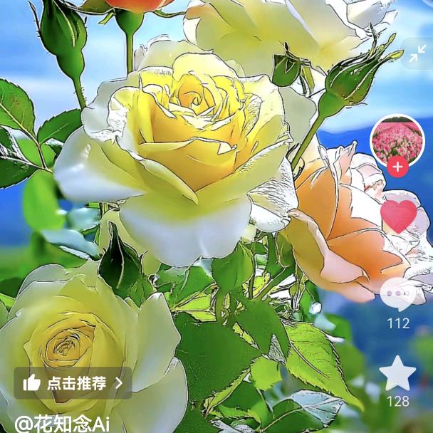 马福兰