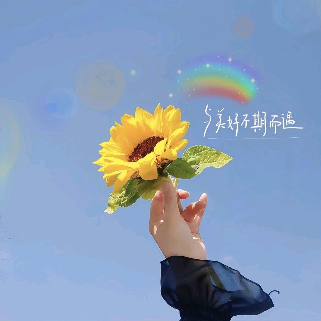 玲珑🍀