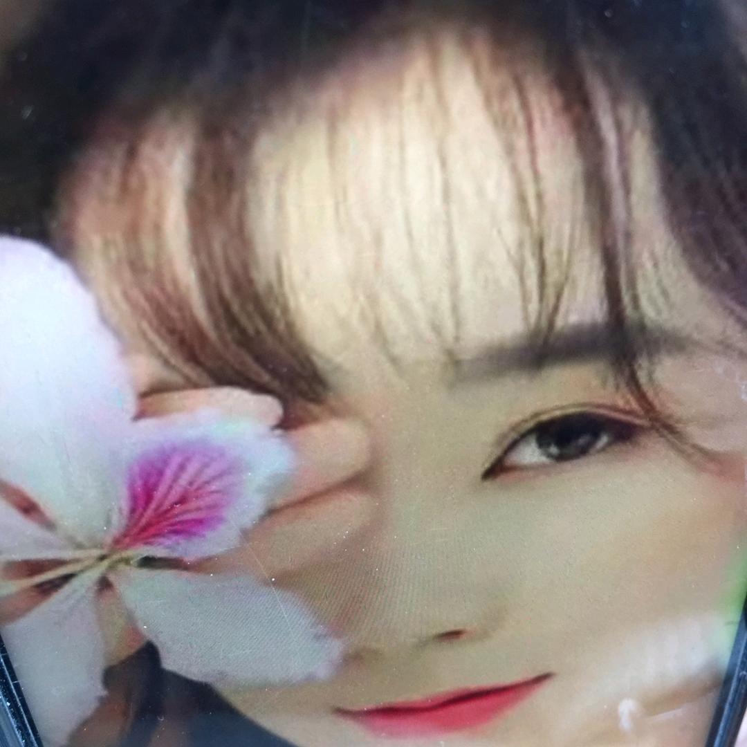 一生无悔