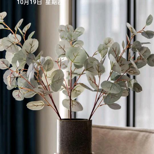 一战成名。