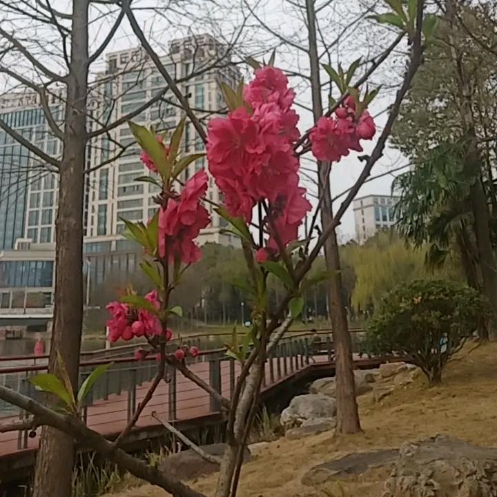 最远的💋你💋是我最近的爱💖🌹