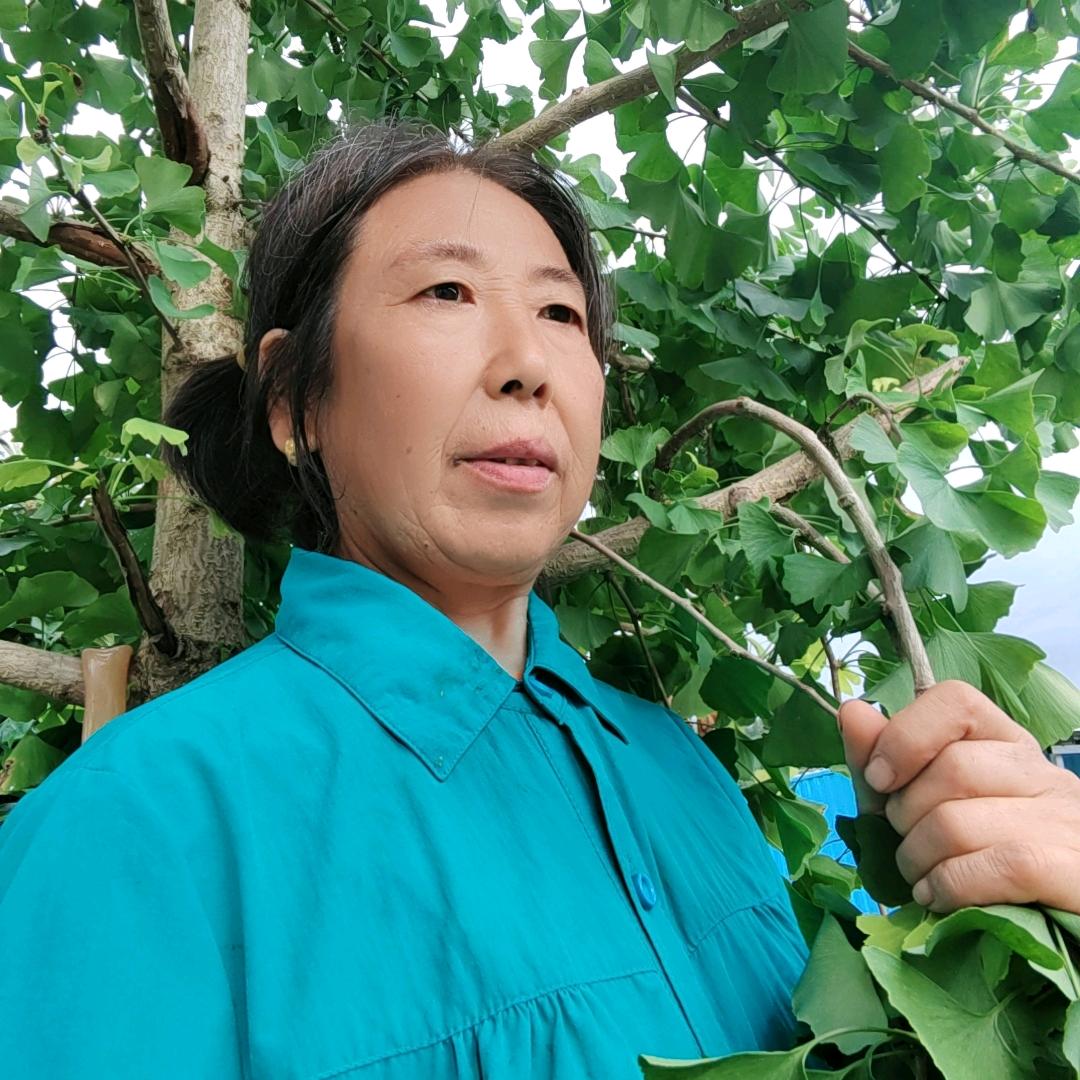 洋姐