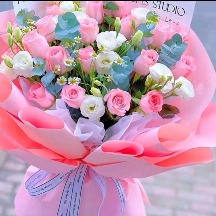 🌹小🌹潘💐
