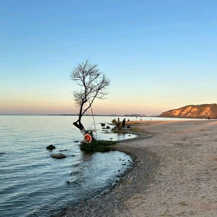 柒槿年°