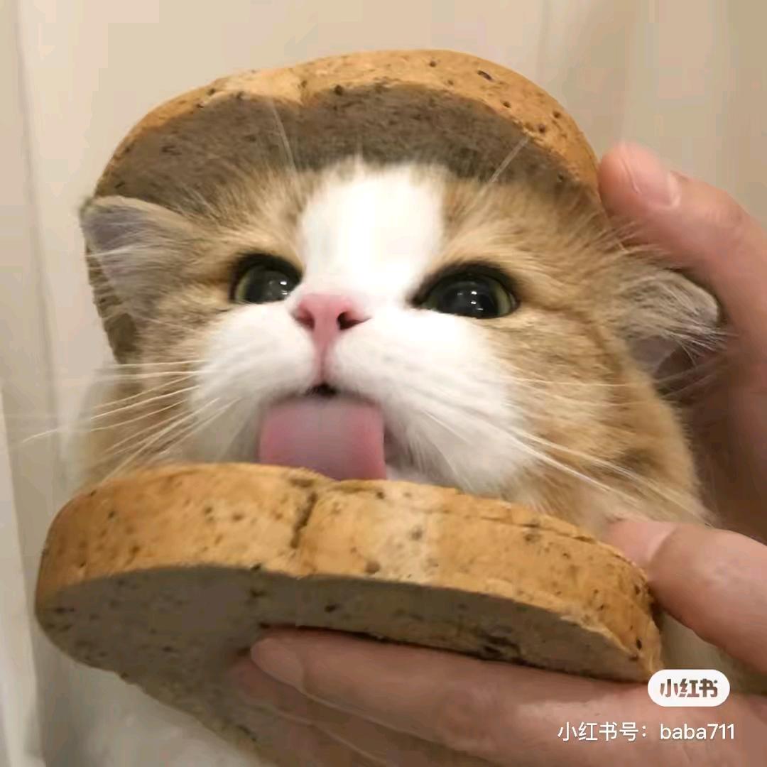 隔日音魂