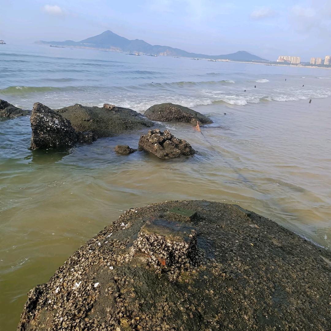 有缘相见