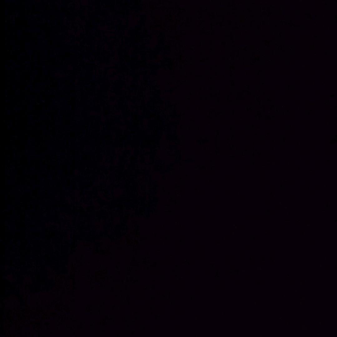 阿龙
