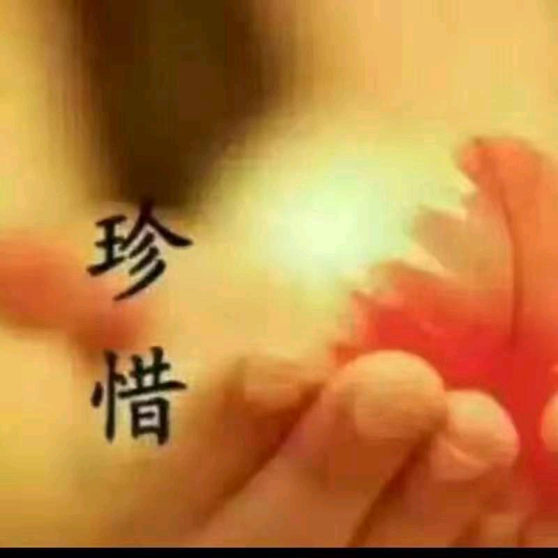 秋哥🔥