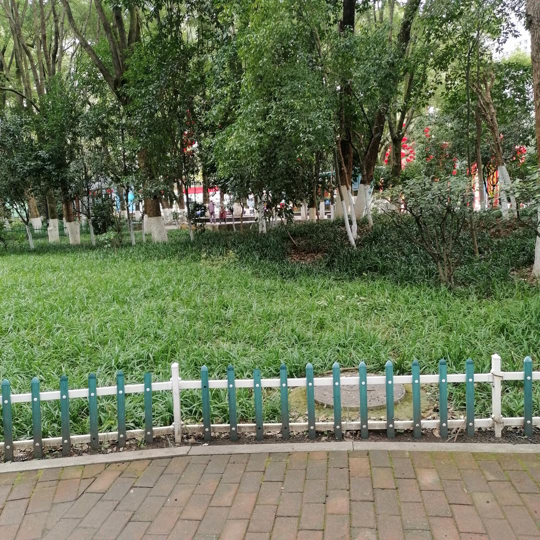 明天更快乐