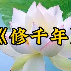 善缘语香