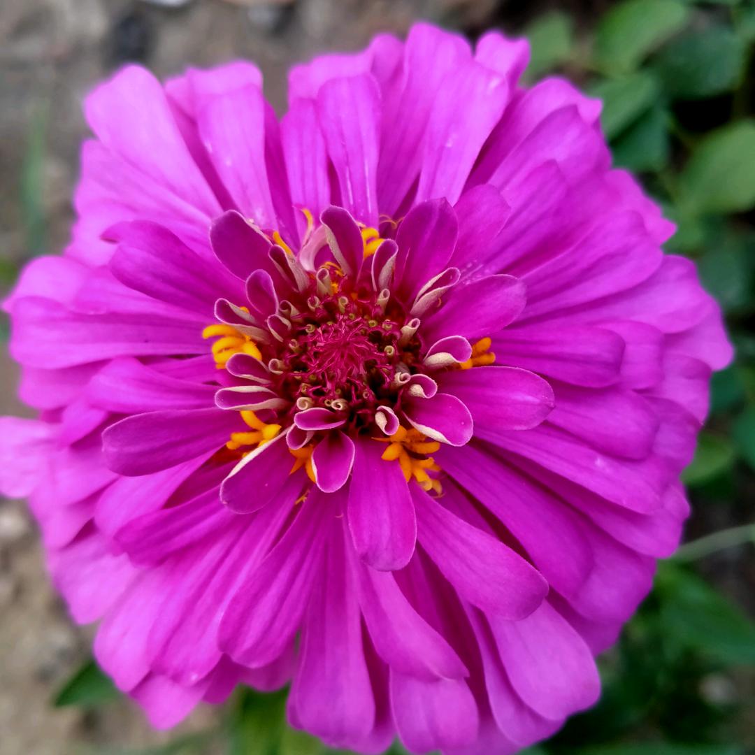 我就是我🌹💃