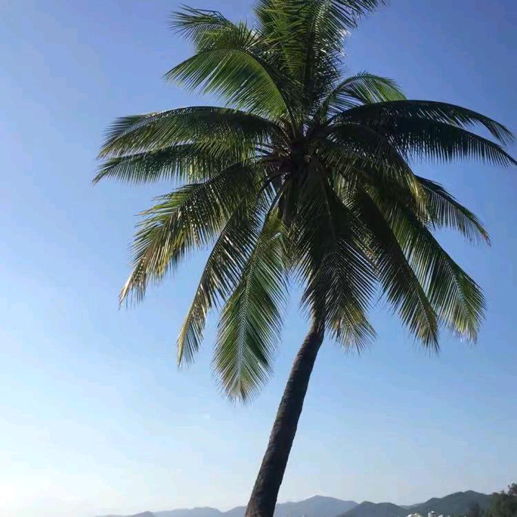 打工人的日常生活