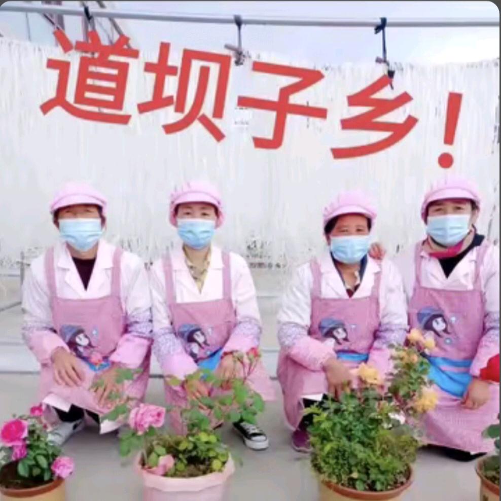 红晟食品