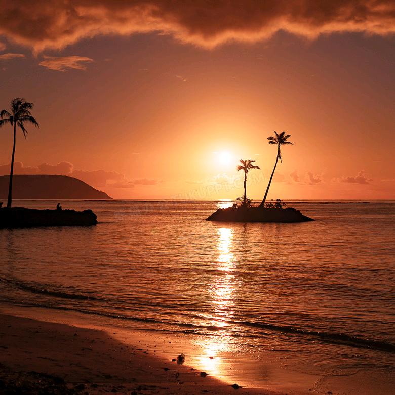 ✨好运🌴随心✨