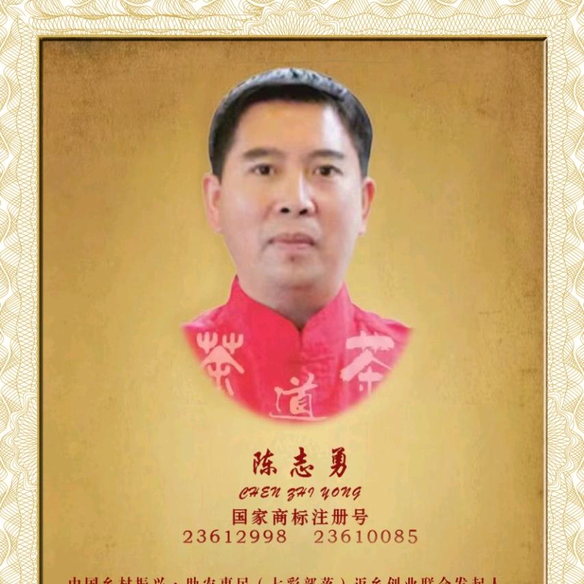陈治勇