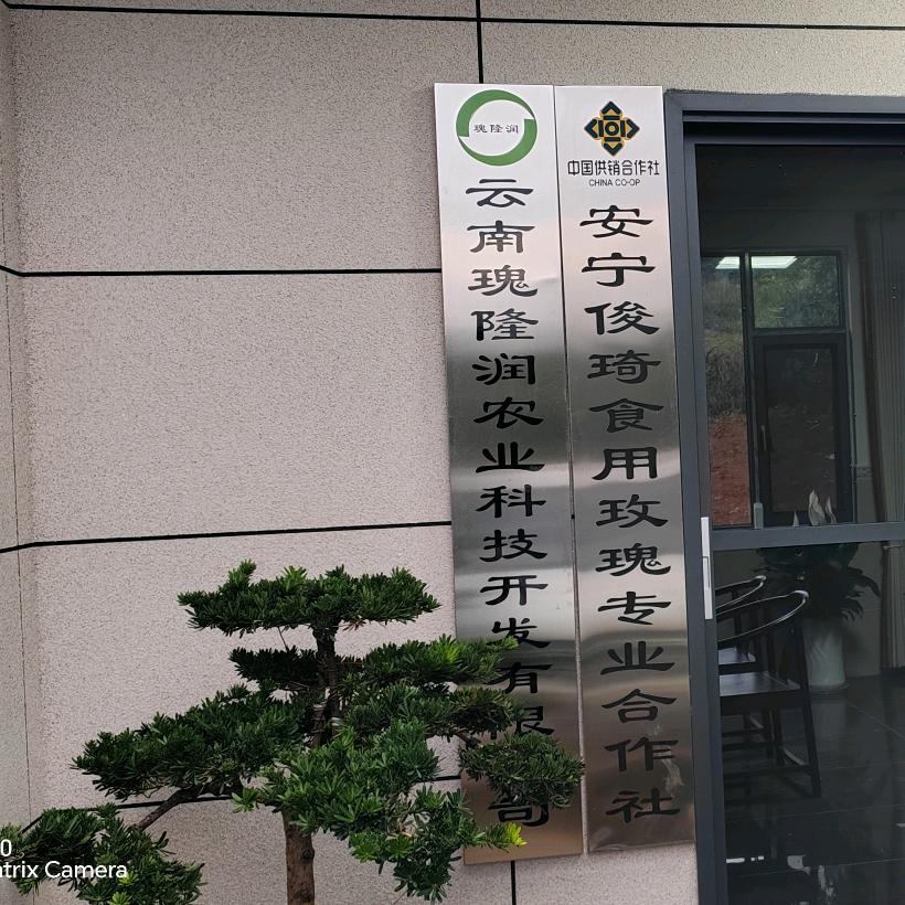 云南花哥哥