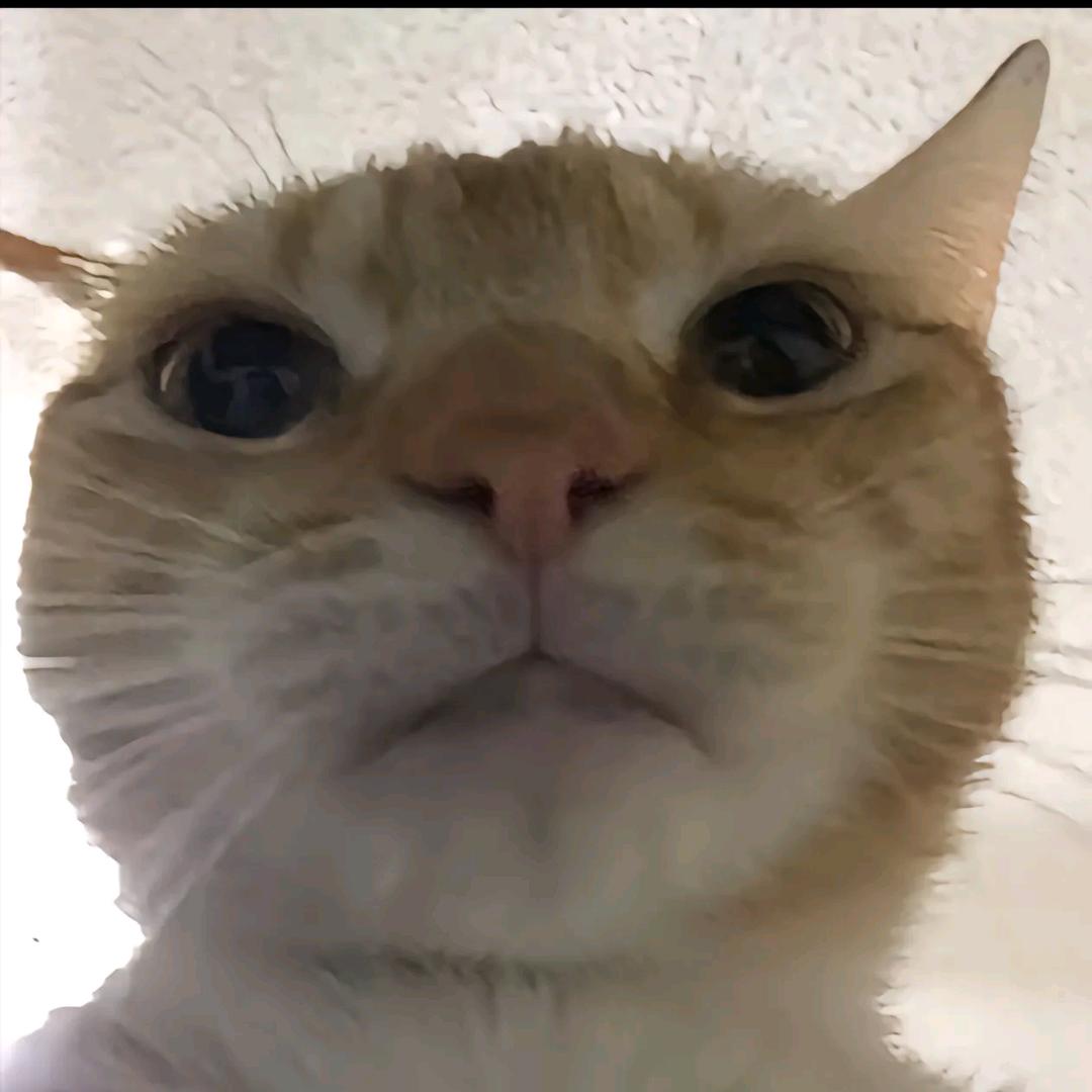 苦瓜大人