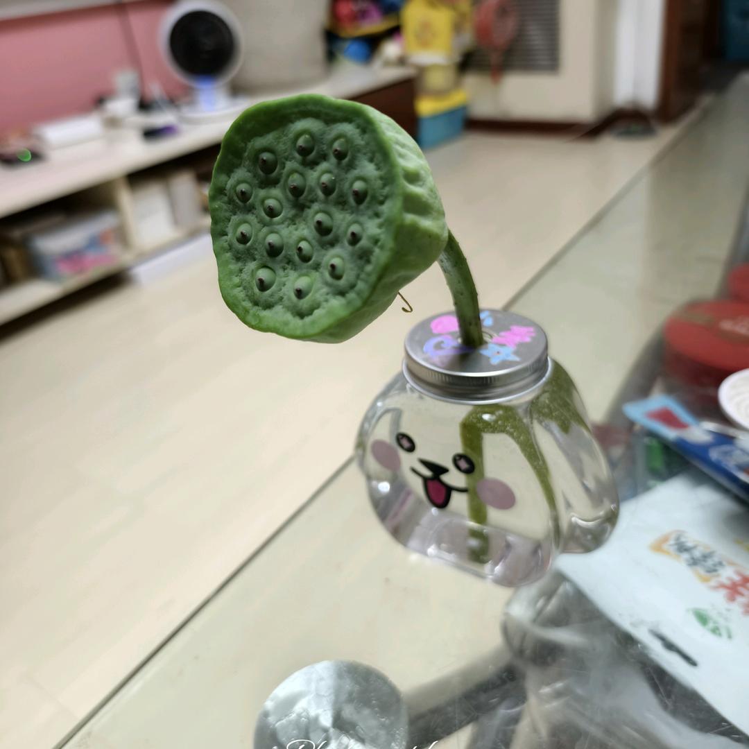 光明哥😊