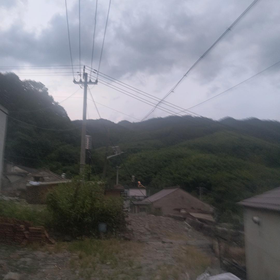 有山有水有茶叶