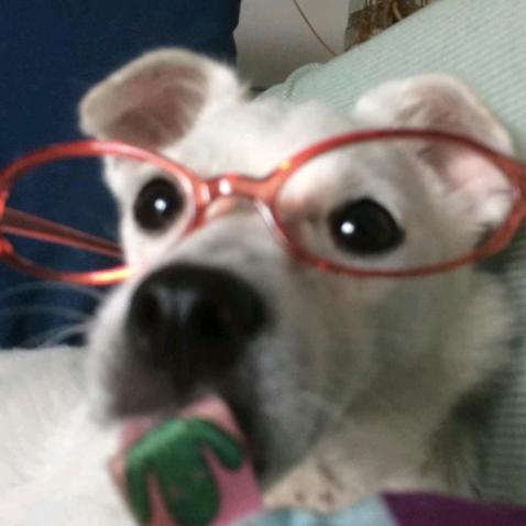 踢踢Titi（见过黄子版）