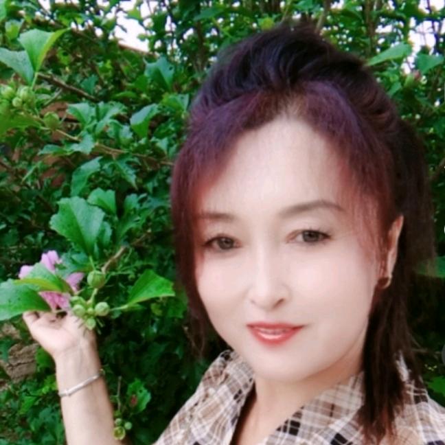 🌸爱到深秋🌸