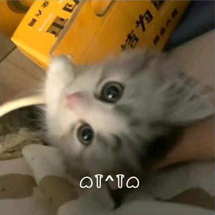 7_vIlo^