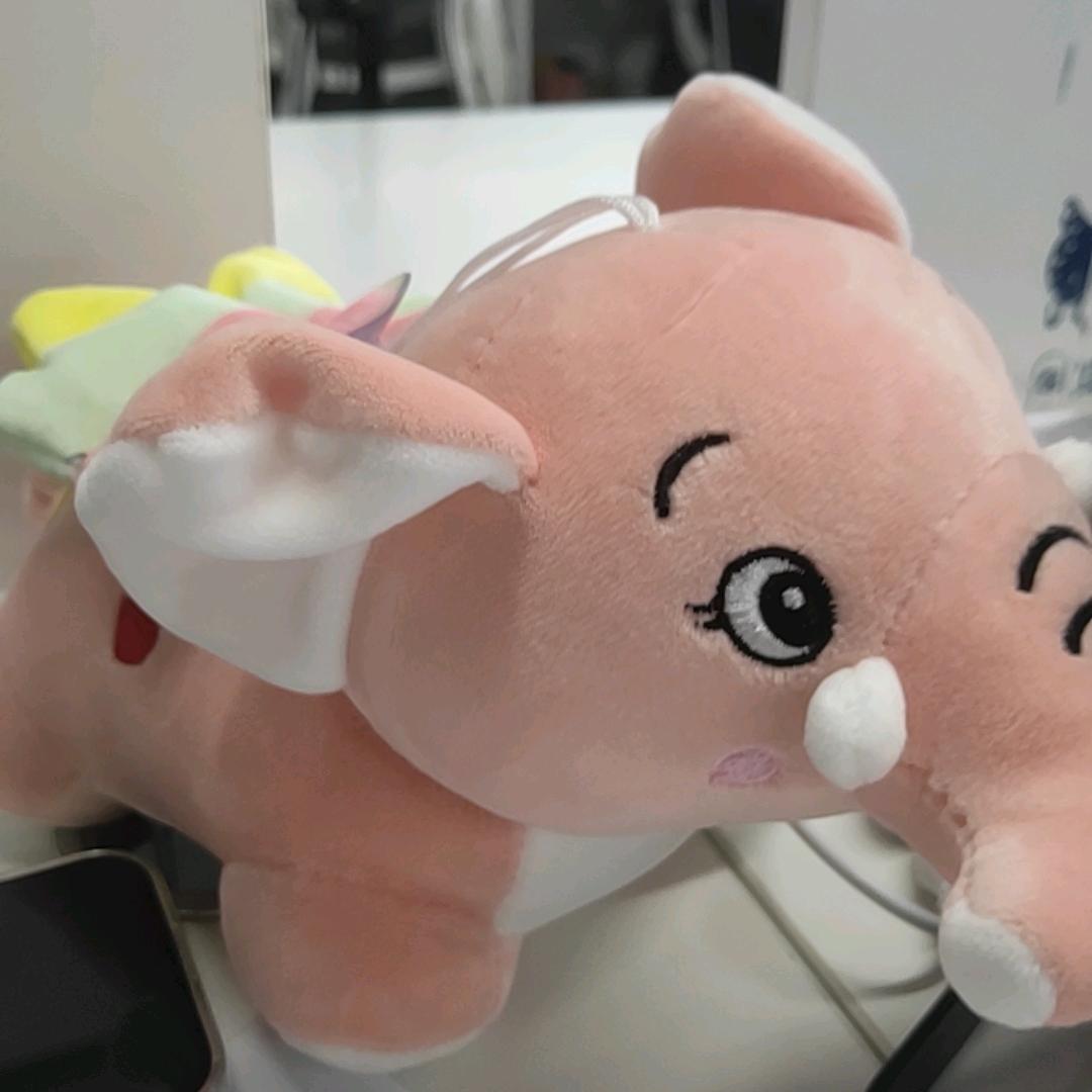 粉小象逛吃逛吃
